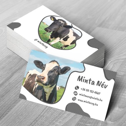 Bebop névjegykártya | MyPrintPix