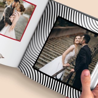 Zebra 60 képes