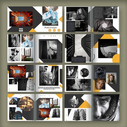 Portfolio 2