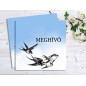 Swallow Swallow