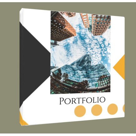 Portfolio 2
