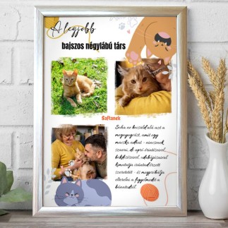 A legjobb bajszos négylábú társ kisállatos fotókollázs | MyPrintPix