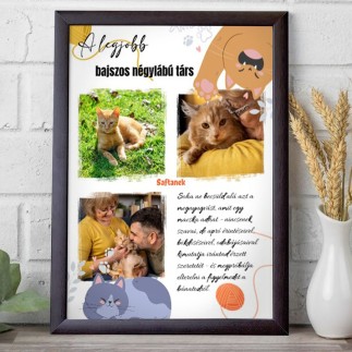 A legjobb bajszos négylábú társ kisállatos fotókollázs | MyPrintPix