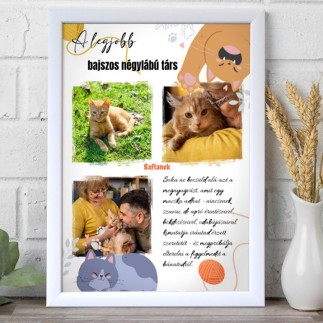 A legjobb bajszos négylábú társ kisállatos fotókollázs | MyPrintPix