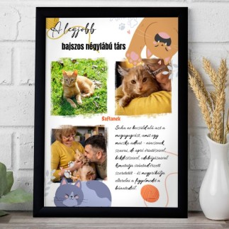 A legjobb bajszos négylábú társ kisállatos fotókollázs | MyPrintPix