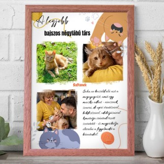 A legjobb bajszos négylábú társ kisállatos fotókollázs | MyPrintPix