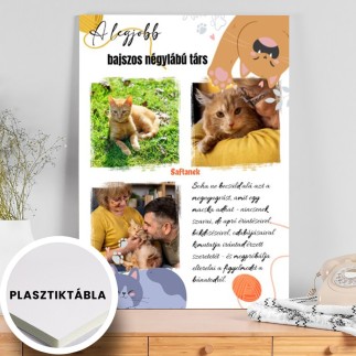 A legjobb bajszos négylábú társ kisállatos fotókollázs | MyPrintPix