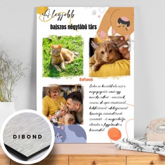 A legjobb bajszos négylábú társ kisállatos fotókollázs | MyPrintPix