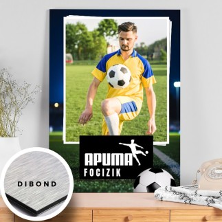 Apuma-focizik apák napi fotókollázs | MyPrintPix
