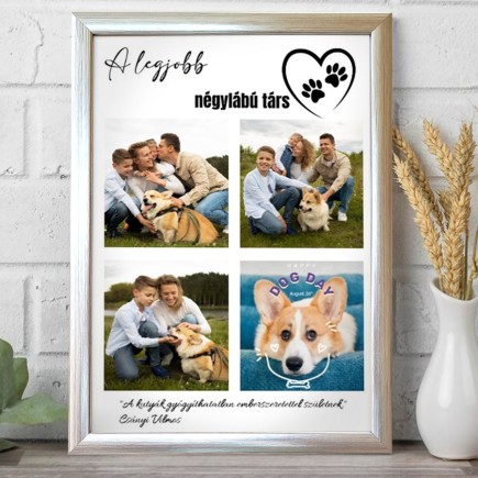A legjobb négylábú társ kisállatos fotókollázs | MyPrintPix