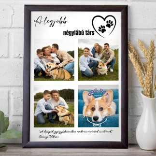 A legjobb négylábú társ kisállatos fotókollázs | MyPrintPix
