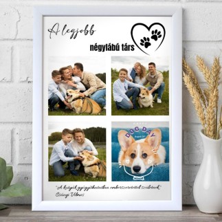 A legjobb négylábú társ kisállatos fotókollázs | MyPrintPix