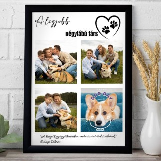 A legjobb négylábú társ kisállatos fotókollázs | MyPrintPix