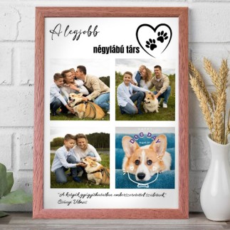 A legjobb négylábú társ kisállatos fotókollázs | MyPrintPix