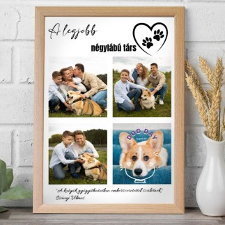 A legjobb négylábú társ kisállatos fotókollázs | MyPrintPix
