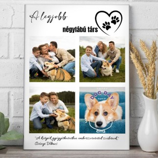 A legjobb négylábú társ kisállatos fotókollázs | MyPrintPix