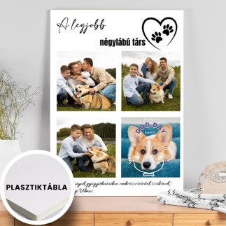 A legjobb négylábú társ kisállatos fotókollázs | MyPrintPix