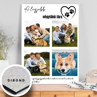 A legjobb négylábú társ kisállatos fotókollázs | MyPrintPix